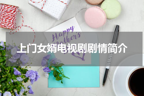 上门女婿电视剧剧情简介