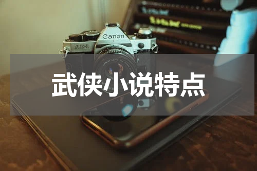 武侠小说特点