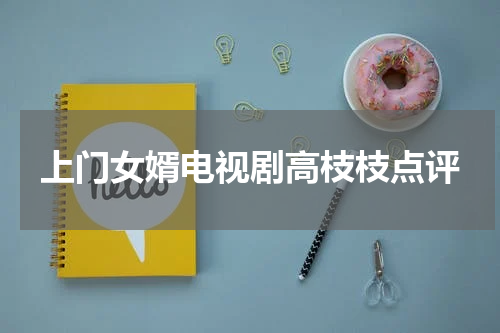 上门女婿电视剧高枝枝点评