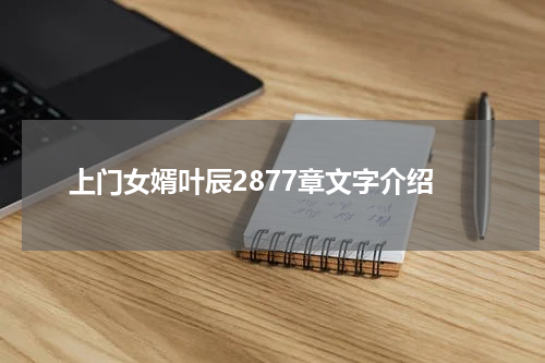 上门女婿叶辰2877章文字介绍