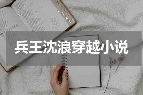 兵王沈浪穿越小说