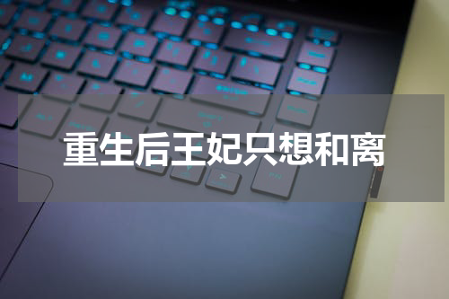 重生后王妃只想和离