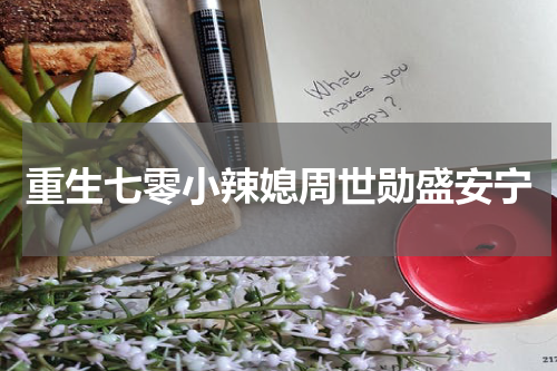 重生七零小辣媳周世勋盛安宁