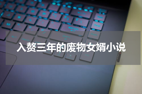 入赘三年的废物女婿小说