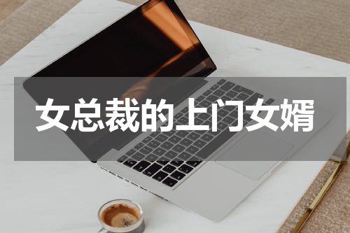 女总裁的上门女婿