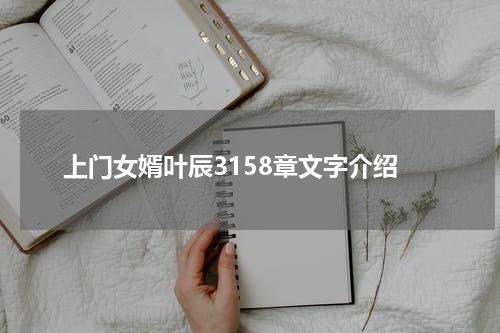上门女婿叶辰3158章文字介绍
