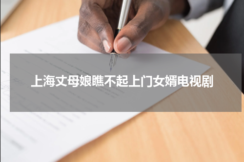 上海丈母娘瞧不起上门女婿电视剧