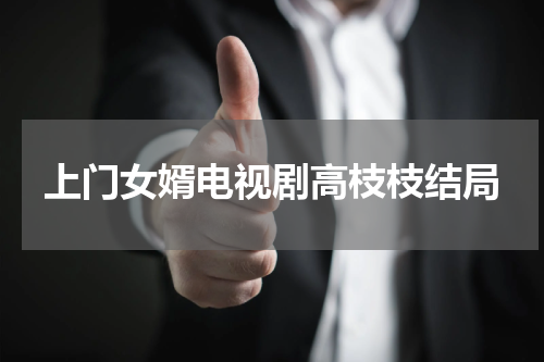 上门女婿电视剧高枝枝结局