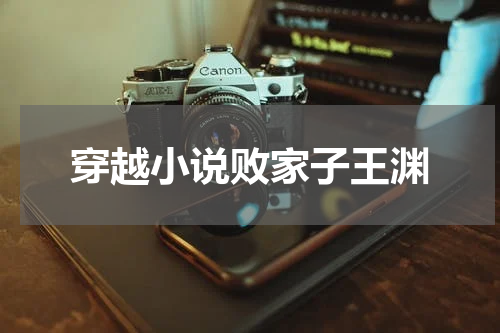 穿越小说败家子王渊