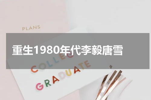 重生1980年代李毅唐雪