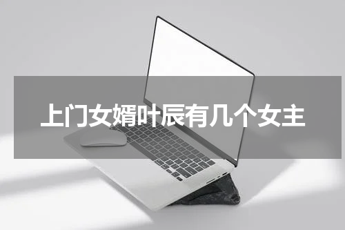 上门女婿叶辰有几个女主