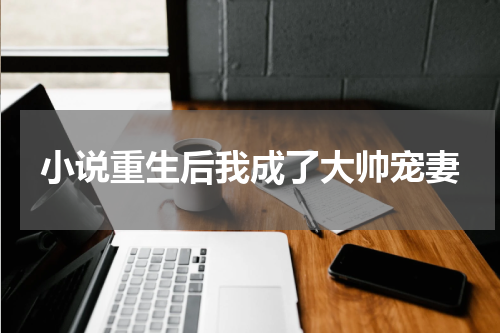 小说重生后我成了大帅宠妻