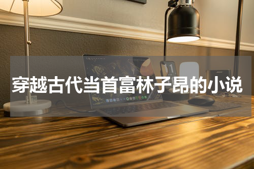 穿越古代当首富林子昂的小说