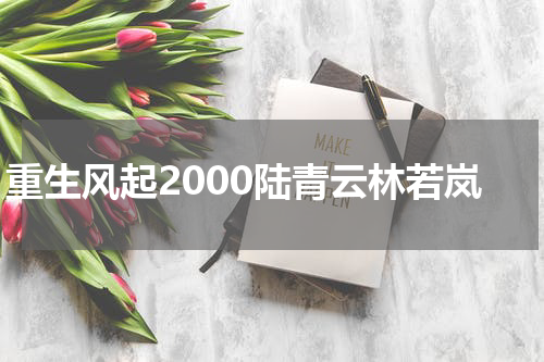 重生风起2000陆青云林若岚