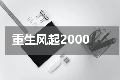 重生风起2000