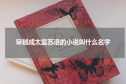 穿越成太监苏洛的小说叫什么名字