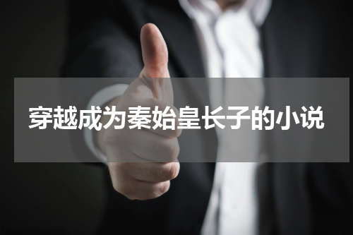 穿越成为秦始皇长子的小说