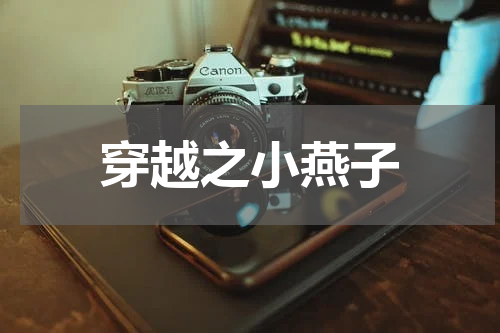穿越之小燕子
