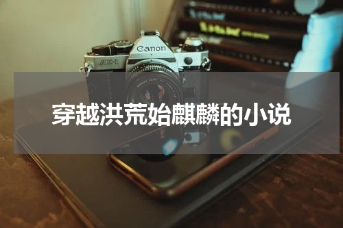 穿越洪荒始麒麟的小说