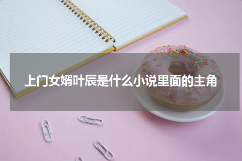 上门女婿叶辰是什么小说里面的主角