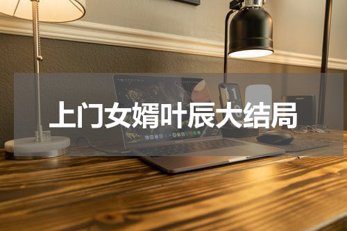 上门女婿叶辰大结局