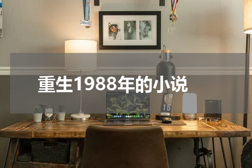 重生1988年的小说