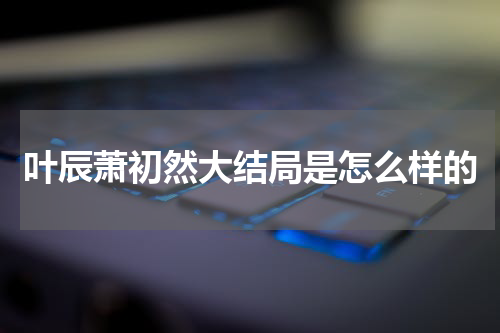 叶辰萧初然大结局是怎么样的