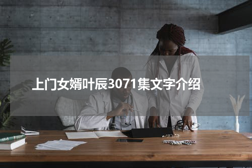 上门女婿叶辰3071集文字介绍