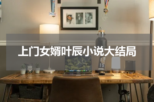上门女婿叶辰小说大结局