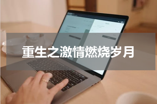 重生之激情燃烧岁月