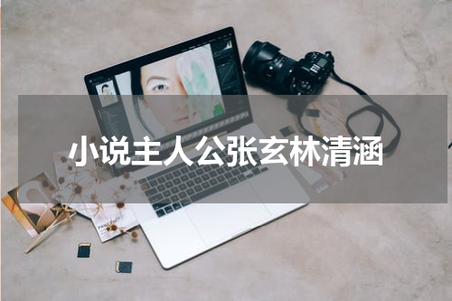 小说主人公张玄林清涵