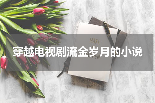 穿越电视剧流金岁月的小说