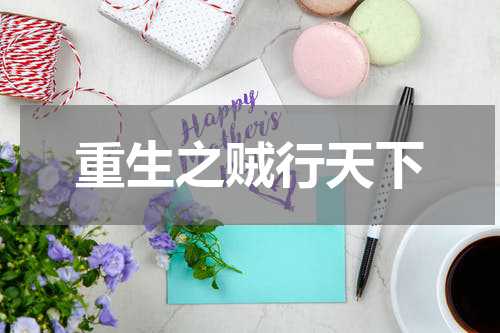 重生之贼行天下
