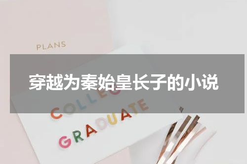 穿越为秦始皇长子的小说