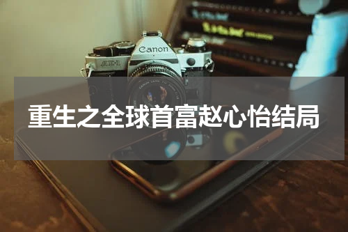 重生之全球首富赵心怡结局