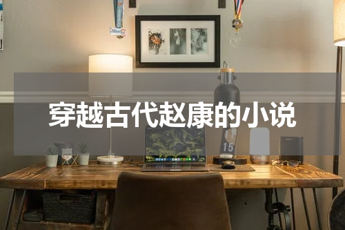 穿越古代赵康的小说