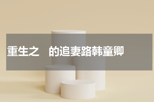 重生之   的追妻路韩童卿