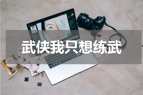 武侠我只想练武