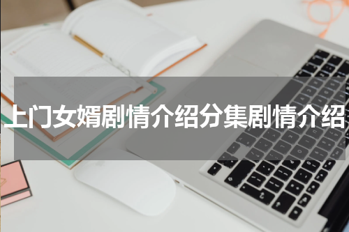 上门女婿剧情介绍分集剧情介绍