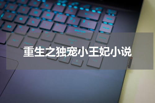 重生之独宠小王妃小说