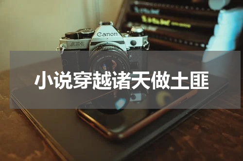 小说穿越诸天做土匪