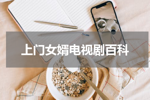 上门女婿电视剧百科