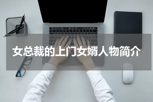 女总裁的上门女婿人物简介