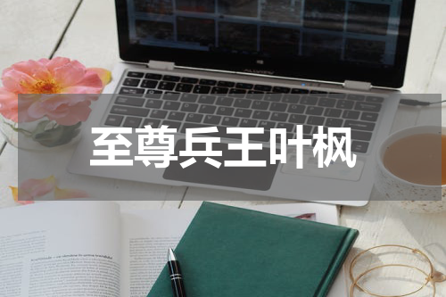 至尊兵王叶枫
