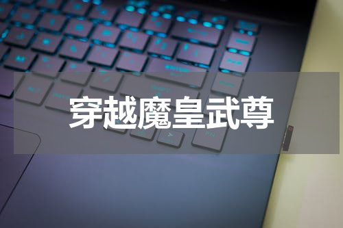 穿越魔皇武尊