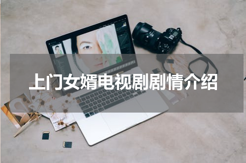 上门女婿电视剧剧情介绍