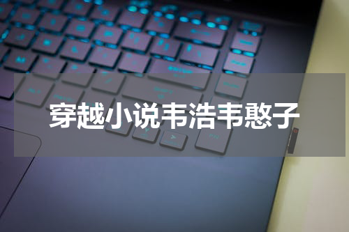 穿越小说韦浩韦憨子