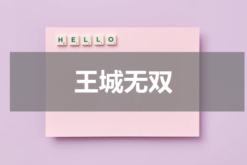 王城无双