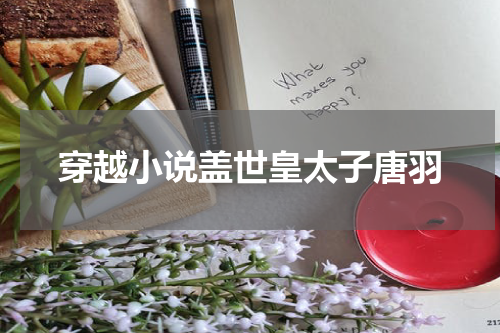穿越小说盖世皇太子唐羽
