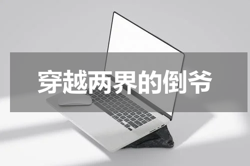 穿越两界的倒爷